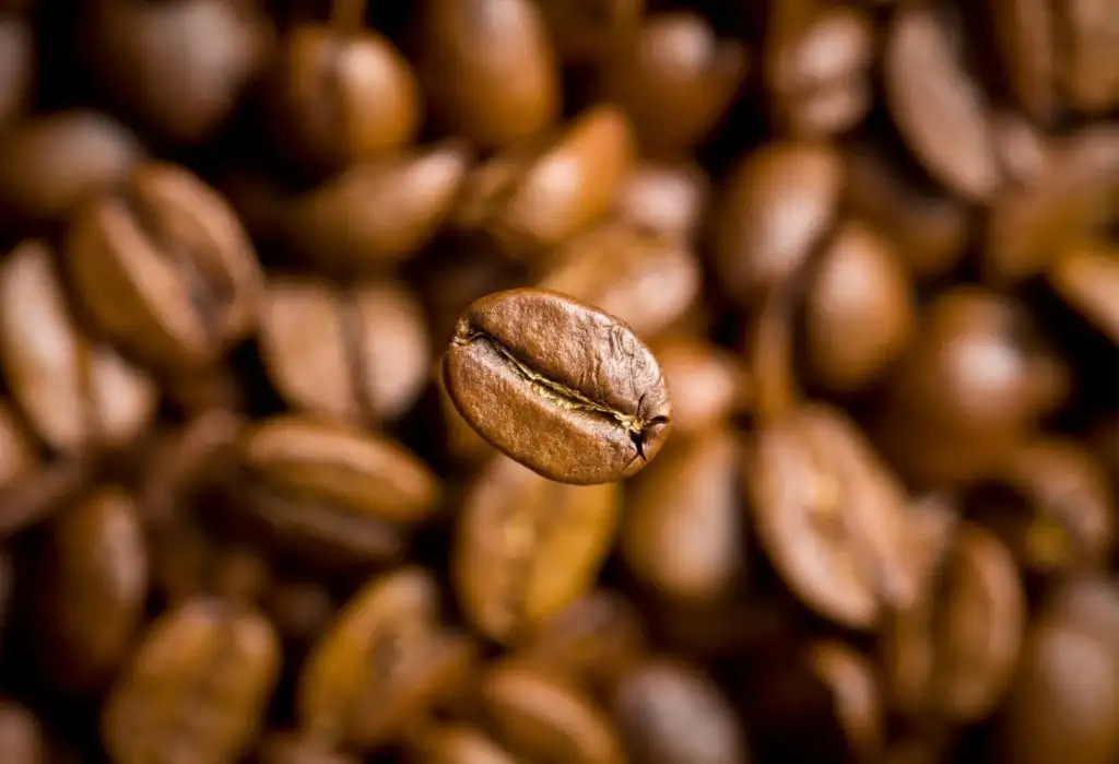 granos de cafe macro ingrediente cosmetica natural cuidado piel cafeina
