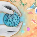 Cosmética con probióticos para pieles sensibles