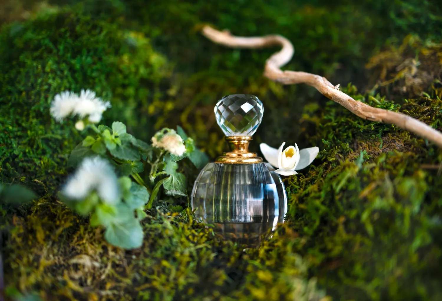Frasco de perfume rodeado de musgo y flores que representa fragancias naturales con beneficios para el bienestar emocional