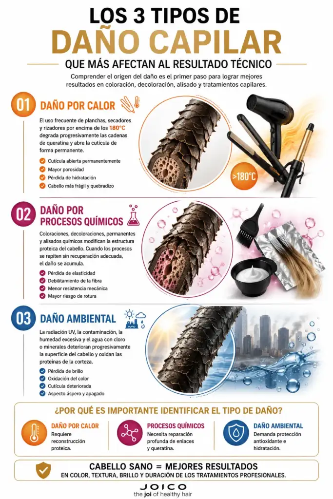 Infografía que explica los tres principales tipos de daño capilar: daño por calor, daño por procesos químicos y daño ambiental, así como sus efectos sobre la fibra capilar.