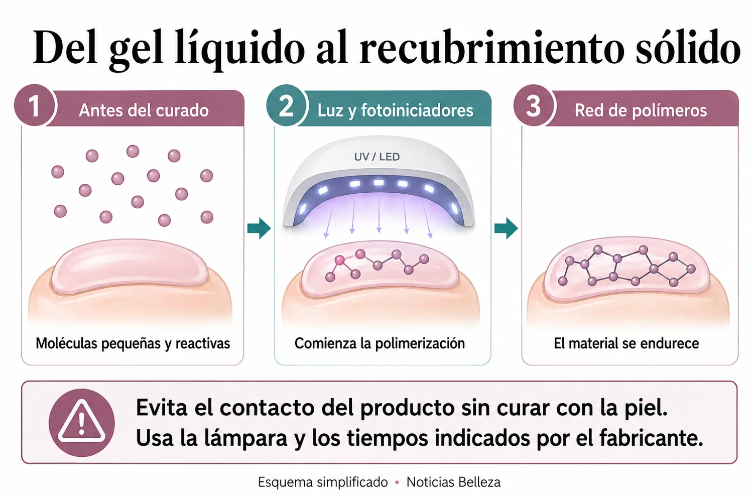 Infografía de la polimerización: monómeros, luz y formación de una red de polímeros
