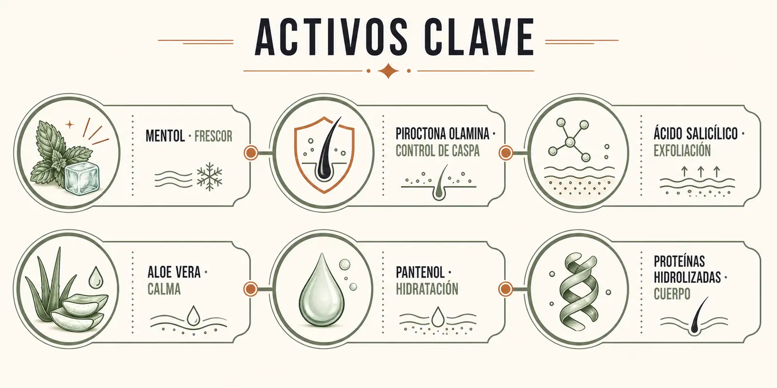 Infografía sobre mentol, piroctona olamina, ácido salicílico, aloe vera, pantenol y proteínas hidrolizadas