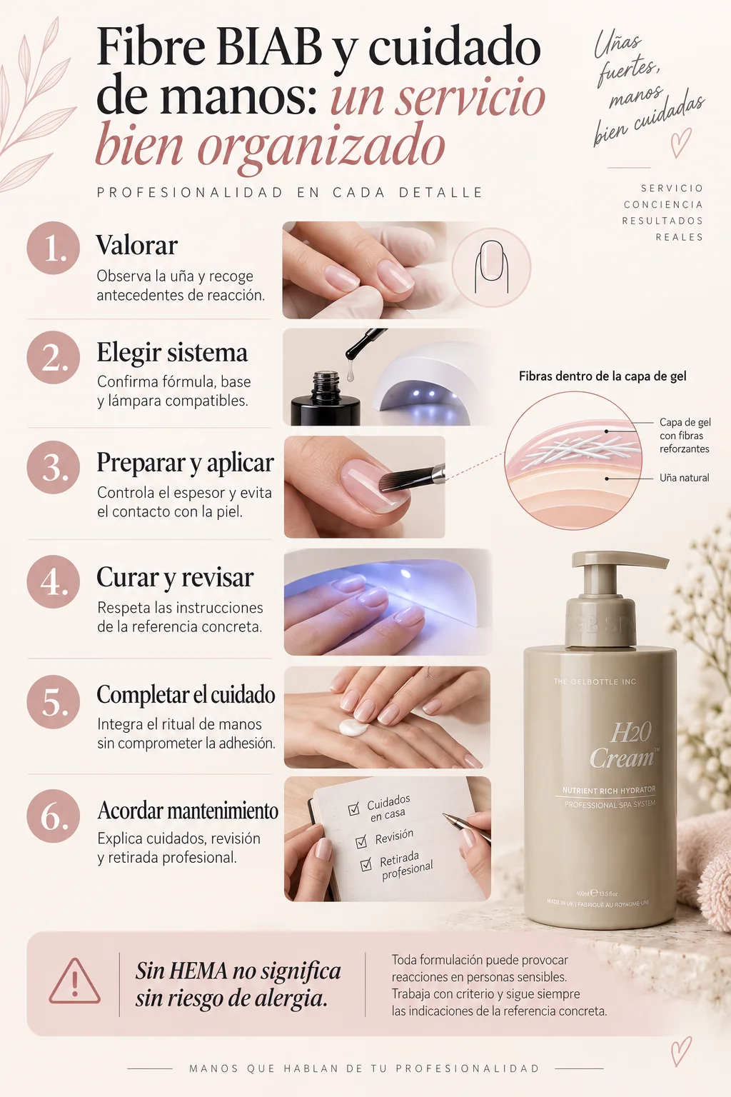 Infografía de valoración, elección, aplicación, curado, cuidado y mantenimiento