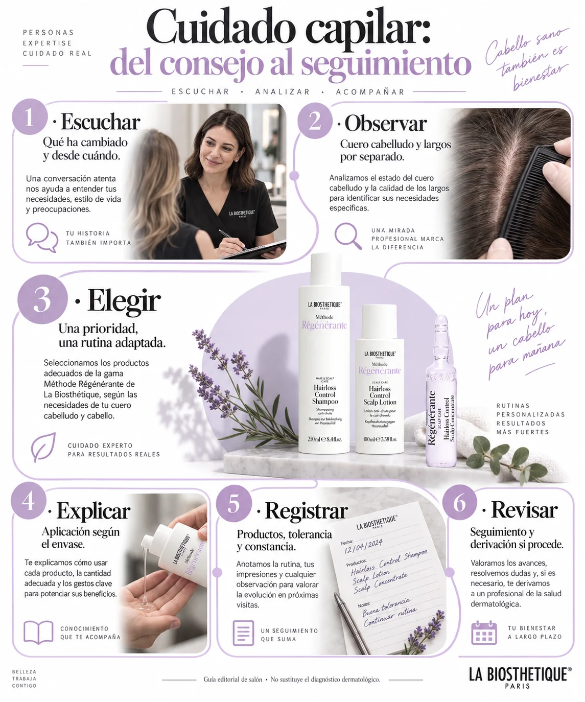 Infografía de seis pasos: escuchar, observar, elegir, explicar, registrar y revisar