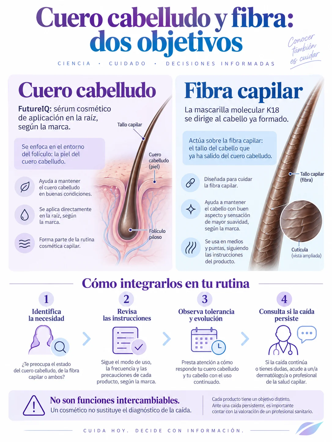 Infografía que distingue cuidado de raíz, cuidado de fibra y consulta por caída persistente
